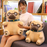 3D Brown Pug Plushie With Green Collar 25cm, 30cm, 45cm or 55cm Giant