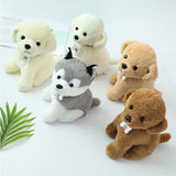 Poodle Dog Plush Husky Stuffed Animal Toys 22-40cm