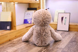 Brown Beige Baby Sloth Plush Long Floppy Arms Stuffed Soft Toy 50cm or 70cm