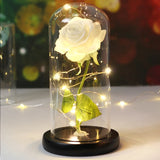 Beauty & The Beast Eternal Red Rose In Glass Dome with LED Lights