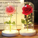 Beauty & The Beast Eternal Red Rose In Glass Dome with LED Lights