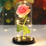 Beauty & The Beast Eternal Red Rose In Glass Dome with LED Lights