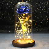 Beauty & The Beast Eternal Red Rose In Glass Dome with LED Lights