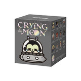 POP MART CRYBABY CRYING TO THE MOON SITTING SERIES FIGURES Mystery Blind Box