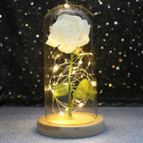 Beauty & The Beast Eternal Red Rose In Glass Dome with LED Lights