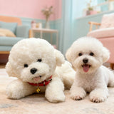 Teddy Dog Bichon Frise Puppy Plush White Stuffed Soft Animal Toy