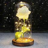 Beauty & The Beast Eternal Red Rose In Glass Dome with LED Lights