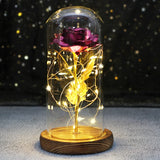 Beauty & The Beast Eternal Red Rose In Glass Dome with LED Lights