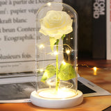 Beauty & The Beast Eternal Red Rose In Glass Dome with LED Lights