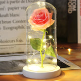 Beauty & The Beast Eternal Red Rose In Glass Dome with LED Lights