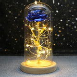 Beauty & The Beast Eternal Red Rose In Glass Dome with LED Lights