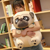 3D Brown Pug Plushie With Green Collar.