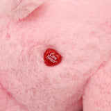 Care Bears Kawaii Sakura Bear Plushie