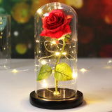 Beauty & The Beast Eternal Red Rose In Glass Dome with LED Lights