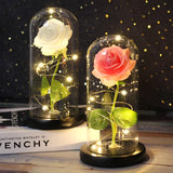 Beauty & The Beast Eternal Red Rose In Glass Dome with LED Lights
