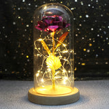 Beauty & The Beast Eternal Red Rose In Glass Dome with LED Lights