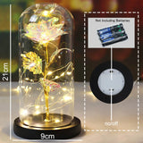 Beauty & The Beast Eternal Red Rose In Glass Dome with LED Lights