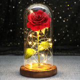 Beauty & The Beast Eternal Red Rose In Glass Dome with LED Lights