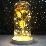 Beauty & The Beast Eternal Red Rose In Glass Dome with LED Lights