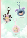 Genuine POP MART HACIPUPU The Constellation Series Vinyl Plush Blind Box