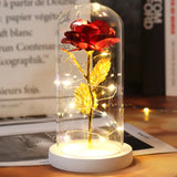 Beauty & The Beast Eternal Red Rose In Glass Dome with LED Lights