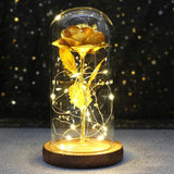 Beauty & The Beast Eternal Red Rose In Glass Dome with LED Lights