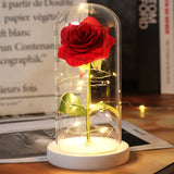 Beauty & The Beast Eternal Red Rose In Glass Dome with LED Lights
