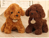 Puppy Toy Poodle Curly Teddy Dog Plush - LoveJojo